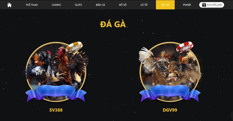 Đá gà